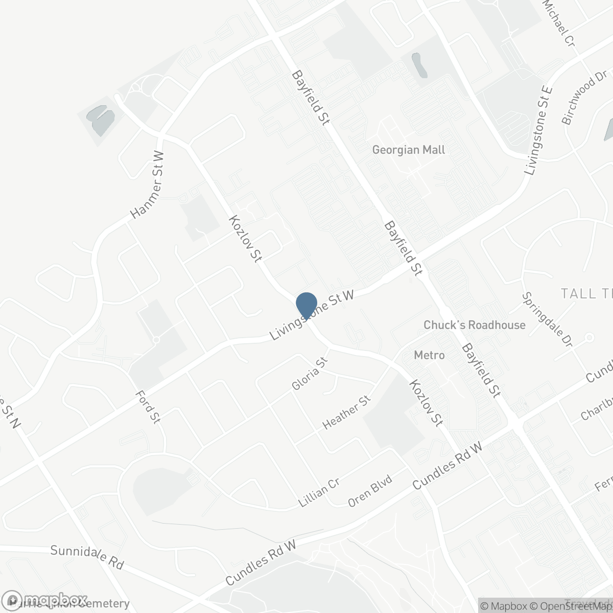 50 LIVINGSTONE STREET W, Barrie, Ontario L4N 7J2